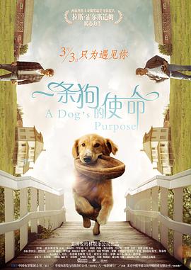 俄罗斯18give100